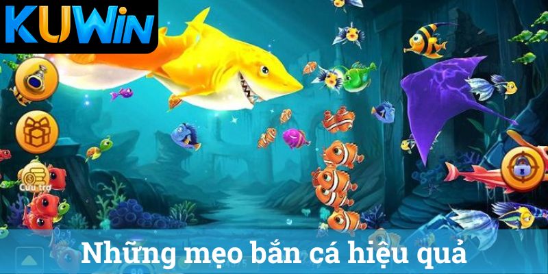 Những mẹo bắn cá hiệu quả
